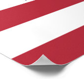 Poster Vote des vrais patriotes (Coin)