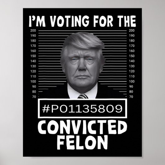 Poster Vote Pour Le Condamné Felon Trump Mugshot Pro T (Devant)