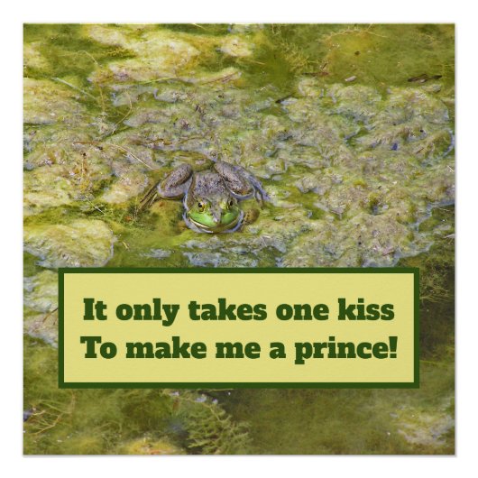 Poster "Votre baiser me transformera en prince"/affiche d (Devant)
