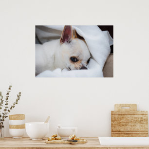 Poster Votre chien animal de compagnie chiot photo person