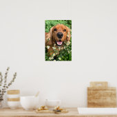 Poster Votre image de chien ici (Cuisine)