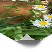 Poster Votre image de chien ici (Coin)