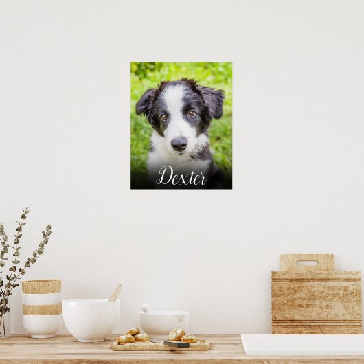 Poster Votre photo d'animal préférée (Cuisine)