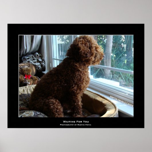 Poster "Vous Attendez" (Devant)