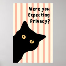 Vous attendiez-vous à la confidentialité Chat drôl