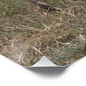 Poster Vous avez des bonbons à la menthe? (Coin)