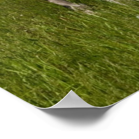 Poster Vous avez été repérés (Coin)