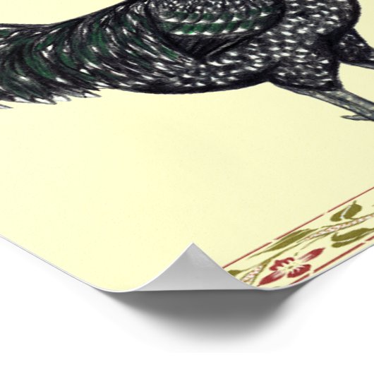 Poster Vous avez Java ? (Coin)