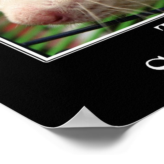 Poster Vous avez toutes les qualités d'un grand manager ( (Coin)