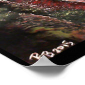 Poster Vous avez trouvé ! (Coin)