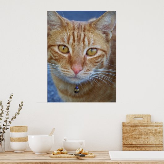 Poster Vous êtes spécial_ Poster_by Elenne Boothe (Cuisine)