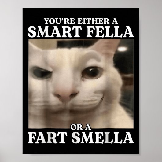 Poster Vous êtes un Fella intelligent ou un Fart Smella C (Devant)