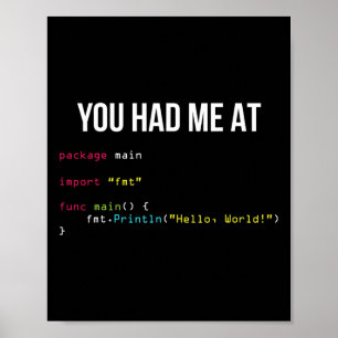 Poster Vous m'avez eu à Hello World Coding Cool Gaming Ch