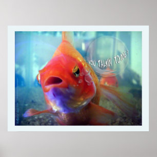 Poster Vous me parlez ?