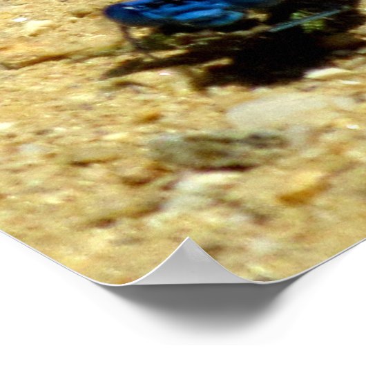 Poster - Vous Me Regardez ? (Coin)