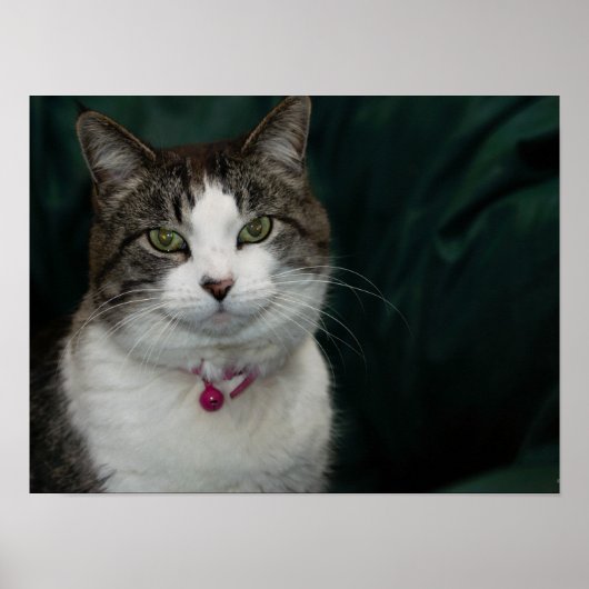 Poster Vous me regardez en train de vous regarder (Devant)