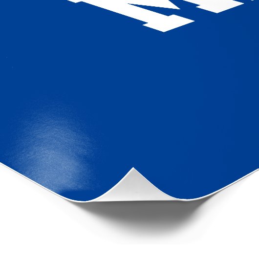 Poster Vous Mlle Joe Biden ? (Coin)