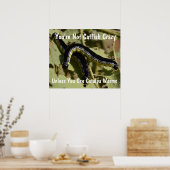 Poster Vous n'êtes pas Catfish Crazy Catalpa Worms (Cuisine)
