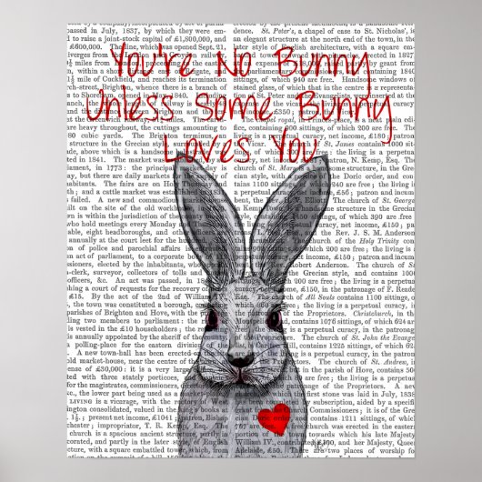Poster Vous n'êtes pas Lapin (Devant)
