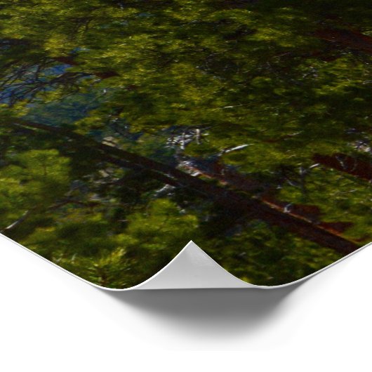 Poster Vous n'êtes pas l'unique/support (Coin)