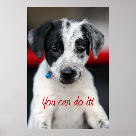 Poster Vous pouvez le faire ! (Devant)