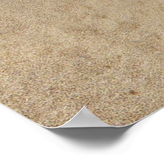 Poster Vous pouvez secouer le sable de vos chaussures... (Coin)