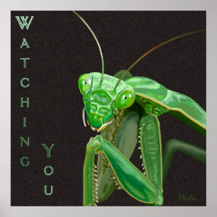 Poster Vous regarder - Version verte