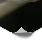 Poster Vous regardez [Grue de Sandhill] (Coin)