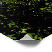 Poster Voyage à Rochers de Naye (Coin)