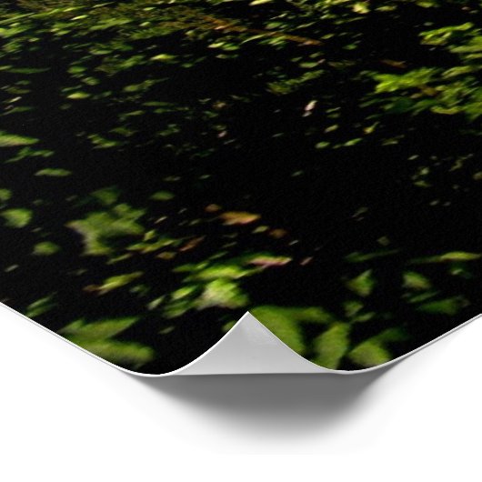 Poster Voyage à Rochers de Naye (Coin)