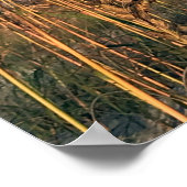 Poster Voyage | Floride - Anastasia State Park Sea Oats (Coin)