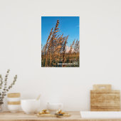 Poster Voyage | Floride - Anastasia State Park Sea Oats (Cuisine)