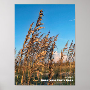 Poster Voyage Floride - Anastasia State Park Sea Oats