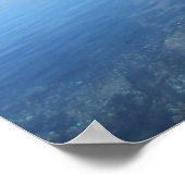 Poster Voyage | Floride - Ancien cyprès, rivière Wacissa (Coin)