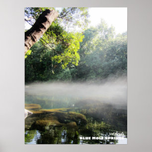 Poster Voyage   Floride - Blue Hole Springs Foggy Morning