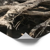 Poster Voyage | Floride - Cape San Blas Beach (Coin)