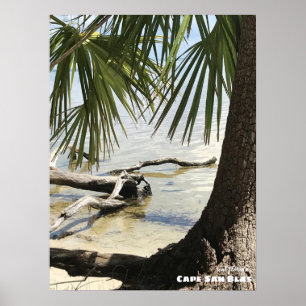 Poster Voyage Floride - Cape San Blas Driftwood