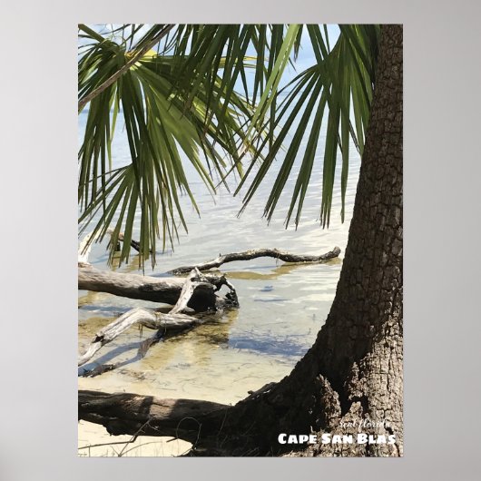 Poster Voyage | Floride - Cape San Blas Driftwood (Devant)