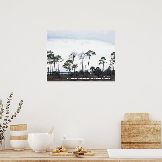 Poster Voyage | Floride - Eagles Nest, St Marks Faune (Cuisine)