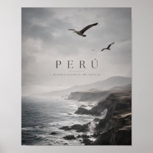 Poster Voyage sur la côte maussade de Paracas au Pérou