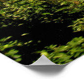 Poster Voyage vers les Rochers de Naye (Coin)