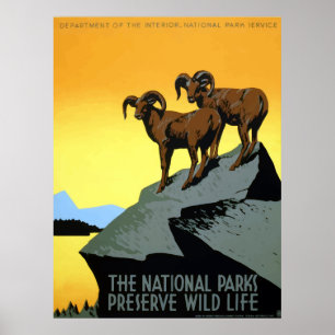 Poster Voyage vintage de faune de parcs nationaux de WPA