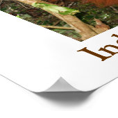 Poster Voyager au pays des Orangutans (Coin)