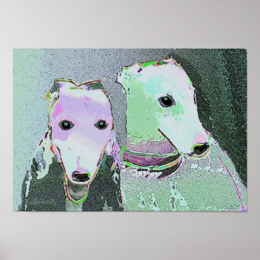 poster "Vrienden van een andere kleur" (Voorkant)