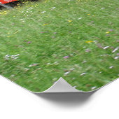 POSTER VT 13 5090,003 (Coin)