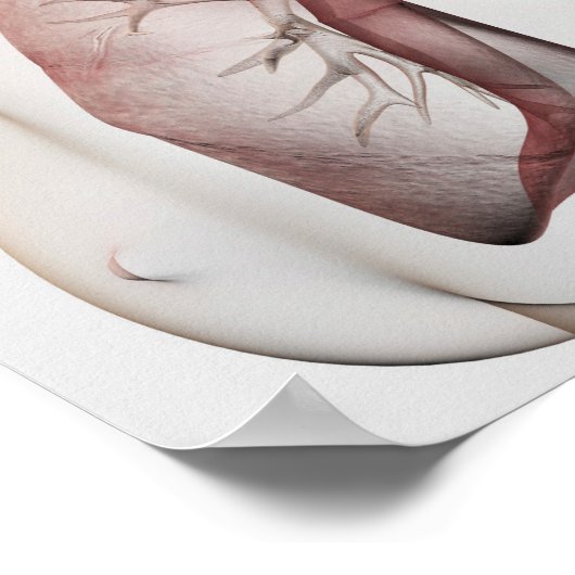 Poster Vue 3D Du Système Respiratoire Féminin 1 (Coin)