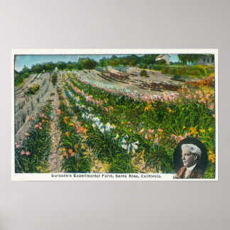 Poster Vue aérienne de Burbanks Ferme expérimentale