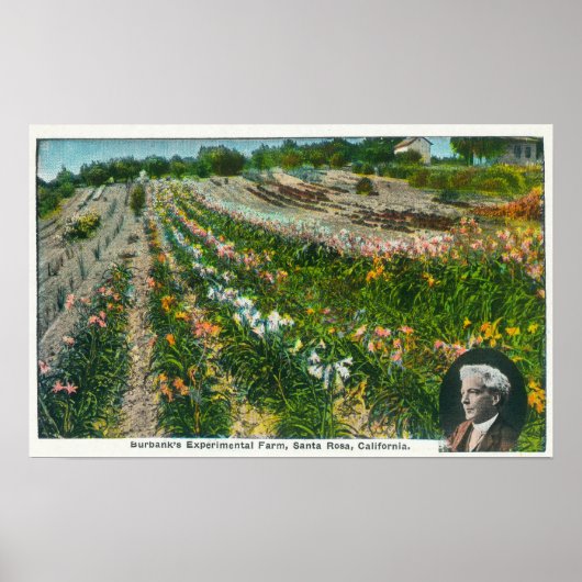 Poster Vue aérienne de Burbanks Ferme expérimentale (Devant)