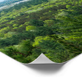 Poster Vue aérienne de la forêt de Black River State (Coin)