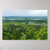 Poster Vue aérienne de la forêt de Black River State (Devant)
